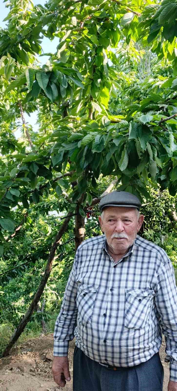 Ege bu yıl meyveye hasret
