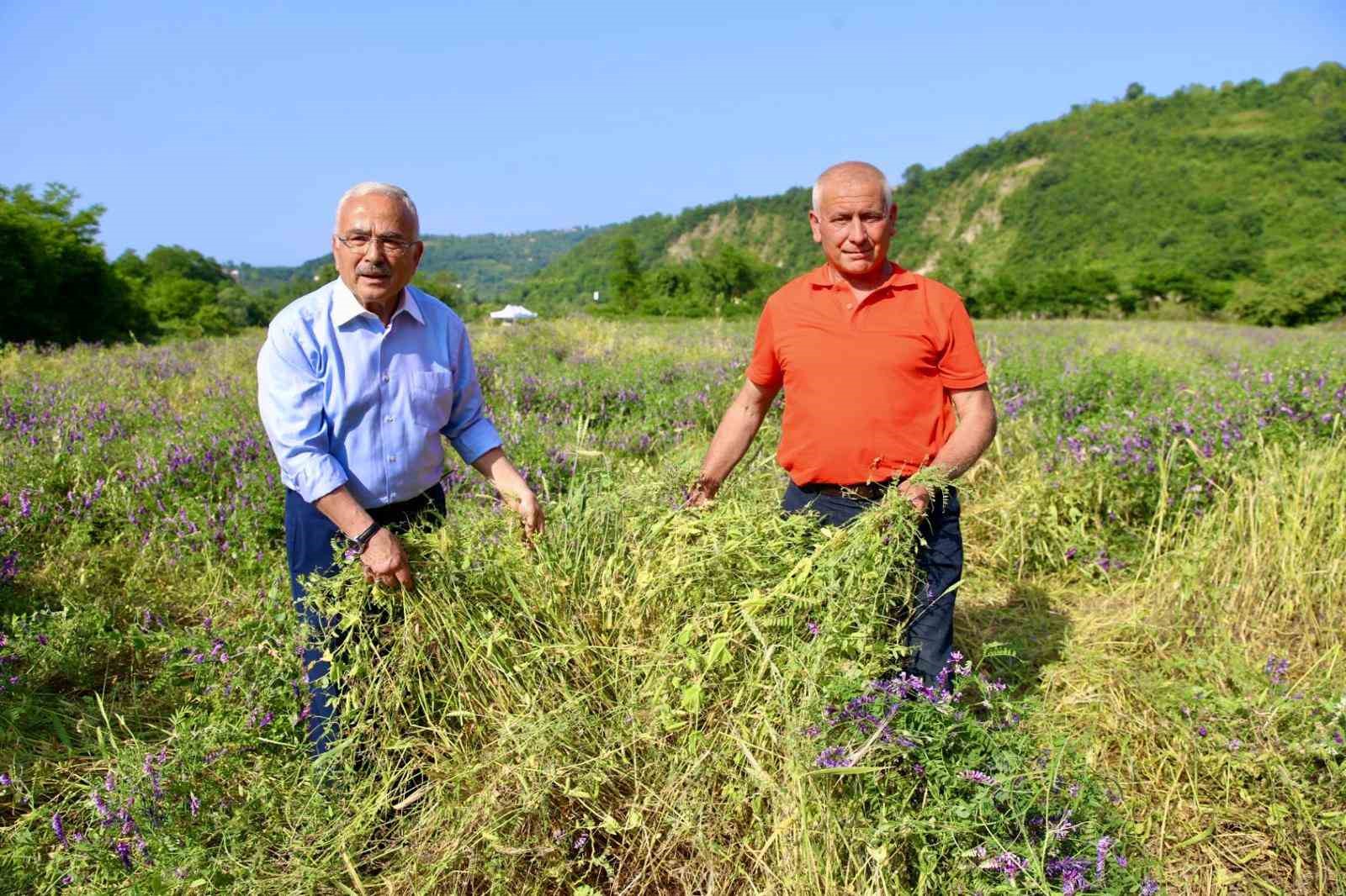 Ordu&rsquo;da besicilerin y&uuml;z&uuml;n&uuml; g&uuml;ld&uuml;r&uuml;p, verimi arttıran destek
