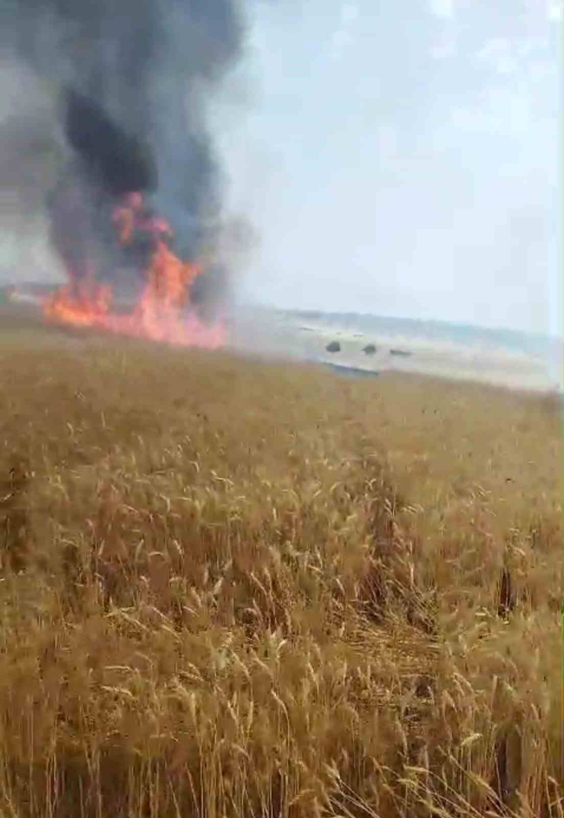 Biçerdöver patozuna giren tel yangına neden oldu, biçilmemiş buğday kül oldu
