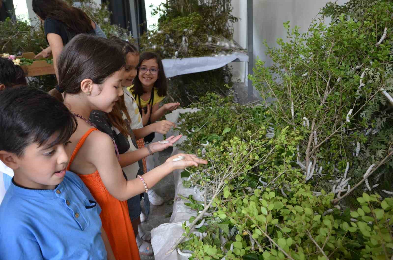 Antalya’da kaybolan meslekler arasında yer alan ipekböcekçiliği geri dönüyor