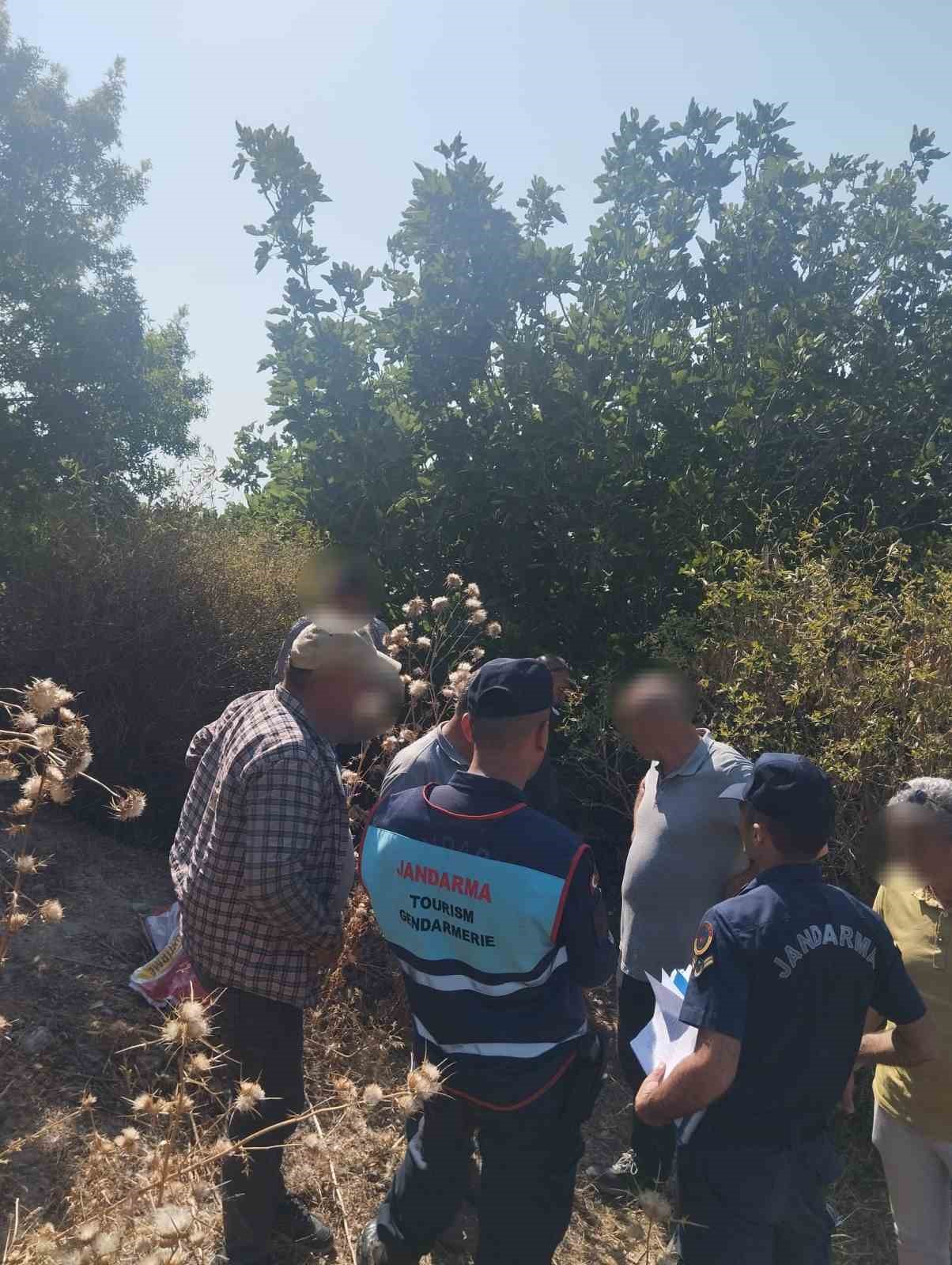 Sit alanında ilek toplarken yakalandılar
