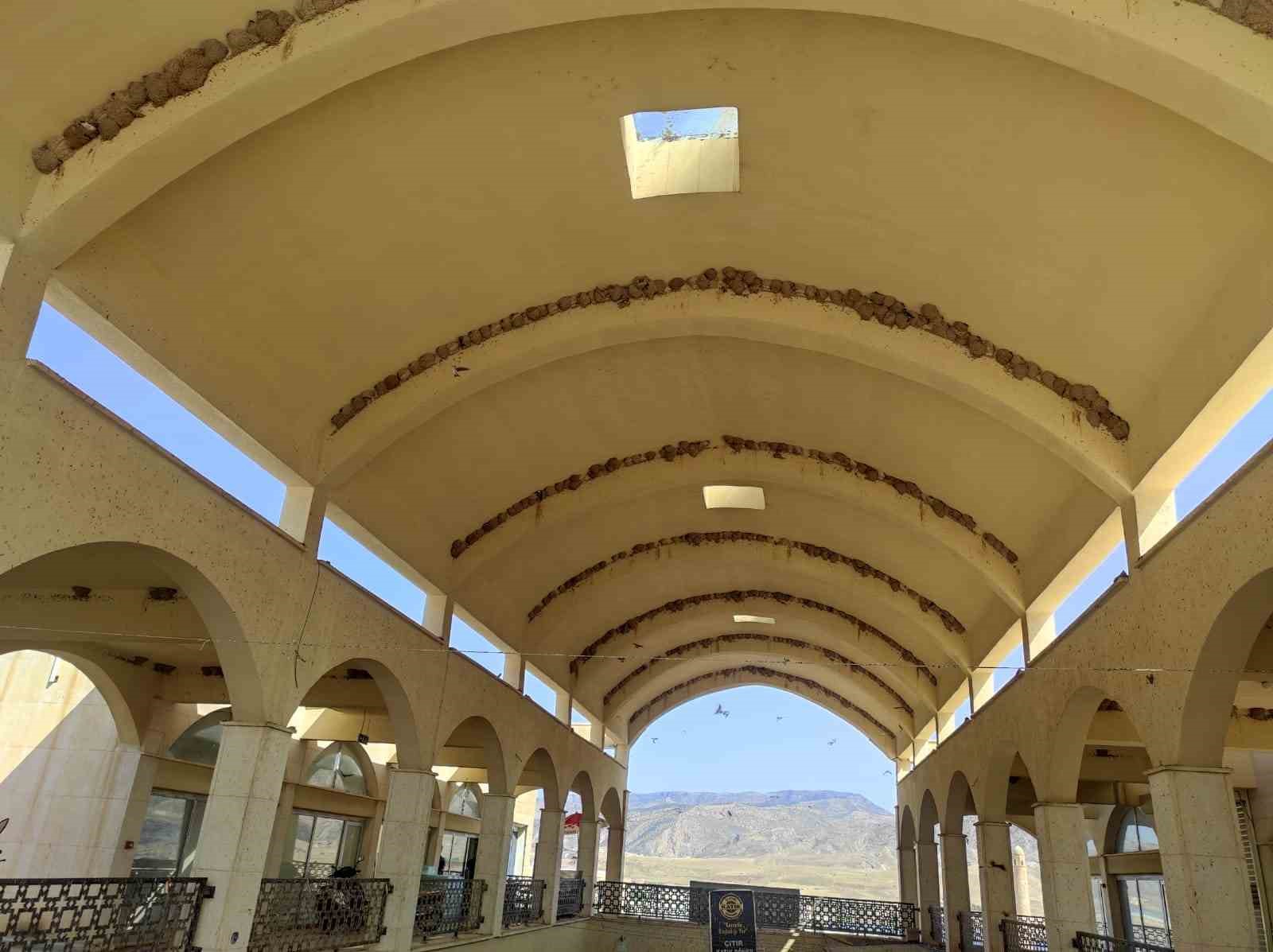 Tarihi Hasankeyf’i mesken edinen Kırlangıç kuşları çarşıyı yuvalarıyla donattı
