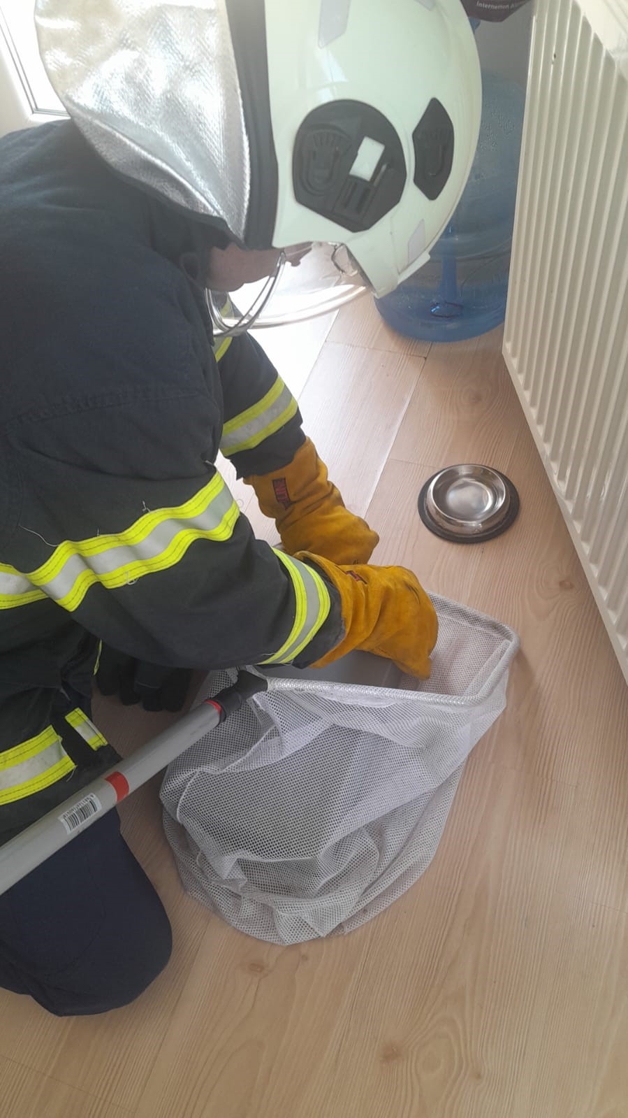 Eve giren yarasa yakalanarak dışarıya bırakıldı