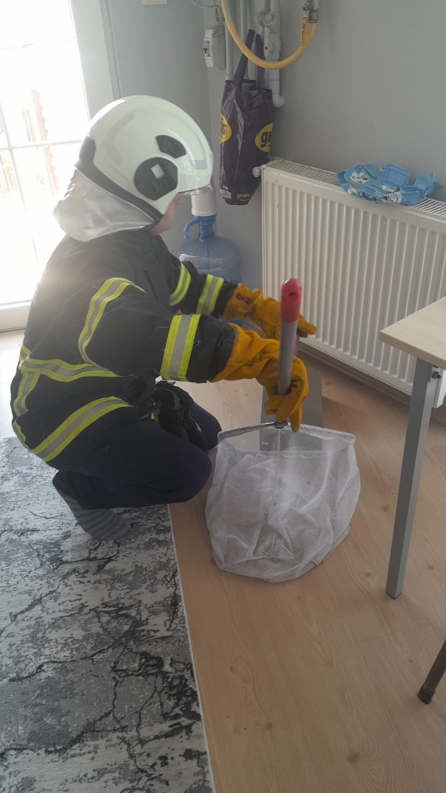 Eve giren yarasa yakalanarak dışarıya bırakıldı
