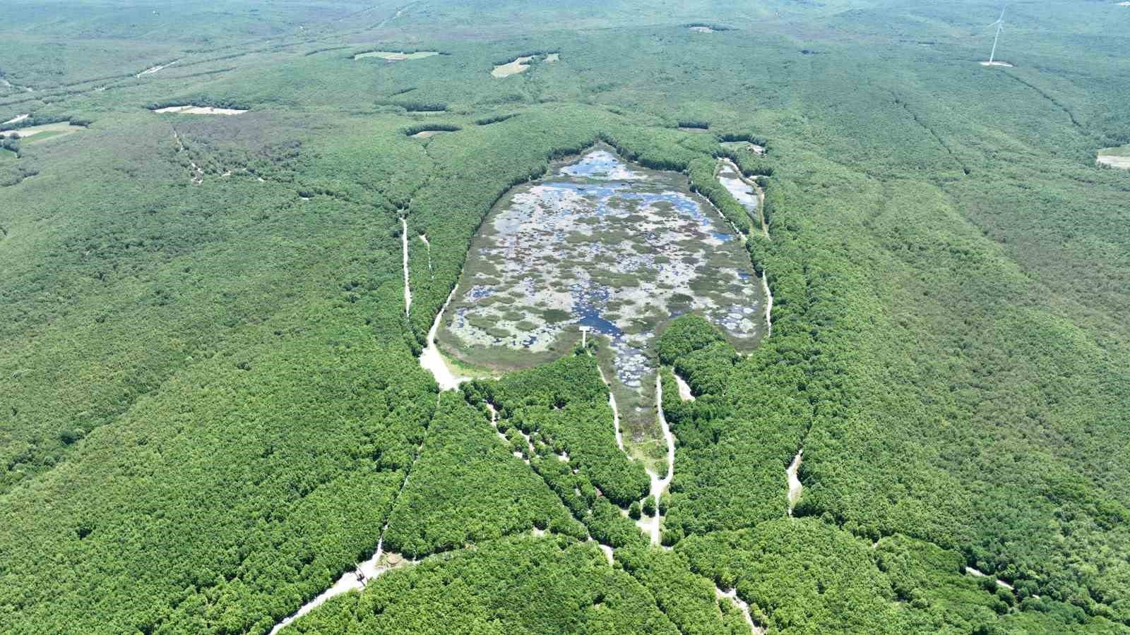 Doğaseverlerin yeni uğrak noktası: Esenyurt Belediyesi Danamandıra Tabiat Parkı
