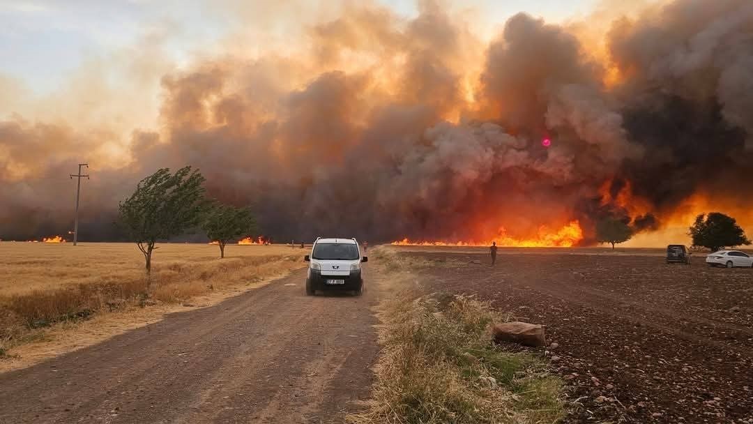 Araban Ovası’ndaki yangınların hasar tespit çalışmaları tamamlandı