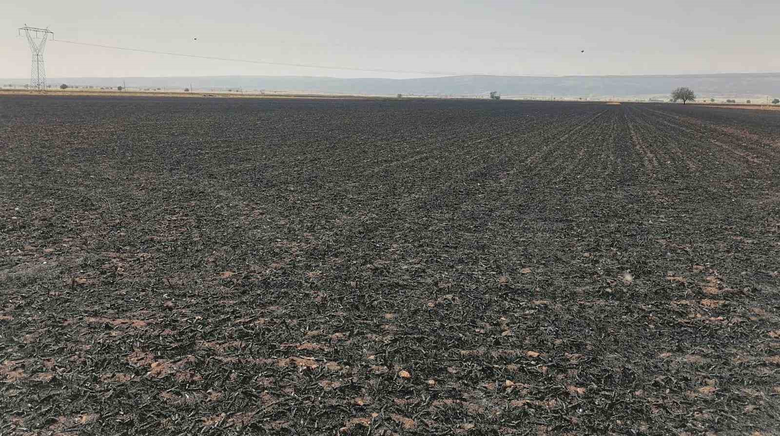 Araban Ovası&rsquo;ndaki yangınların hasar tespit &ccedil;alışmaları tamamlandı
