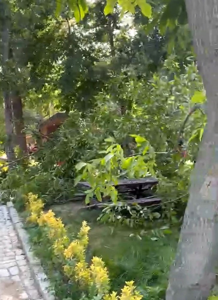 Söğütlük Kent Ormanı’nda faciadan dönüldü: Piknik masalarının üzerine ağaç devrildi