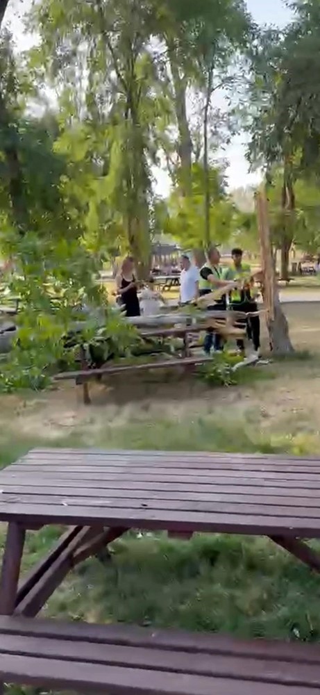 S&ouml;ğ&uuml;tl&uuml;k Kent Ormanı&rsquo;nda faciadan d&ouml;n&uuml;ld&uuml;: Piknik masalarının &uuml;zerine ağa&ccedil; devrildi
