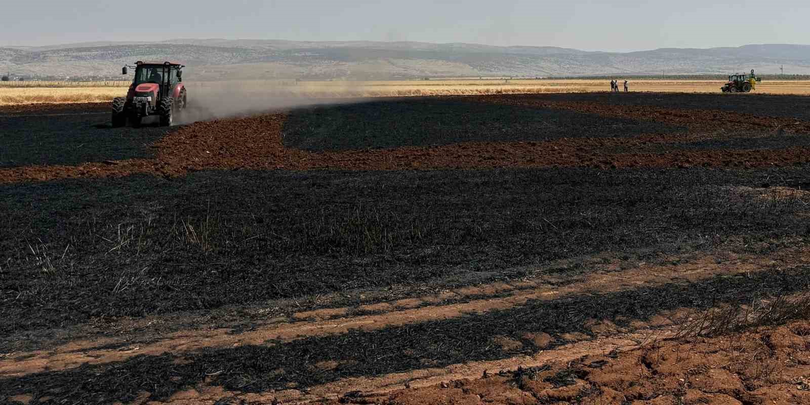 Araban Ovası&rsquo;nda 15 d&ouml;n&uuml;m buğday ekili alan daha yandı
