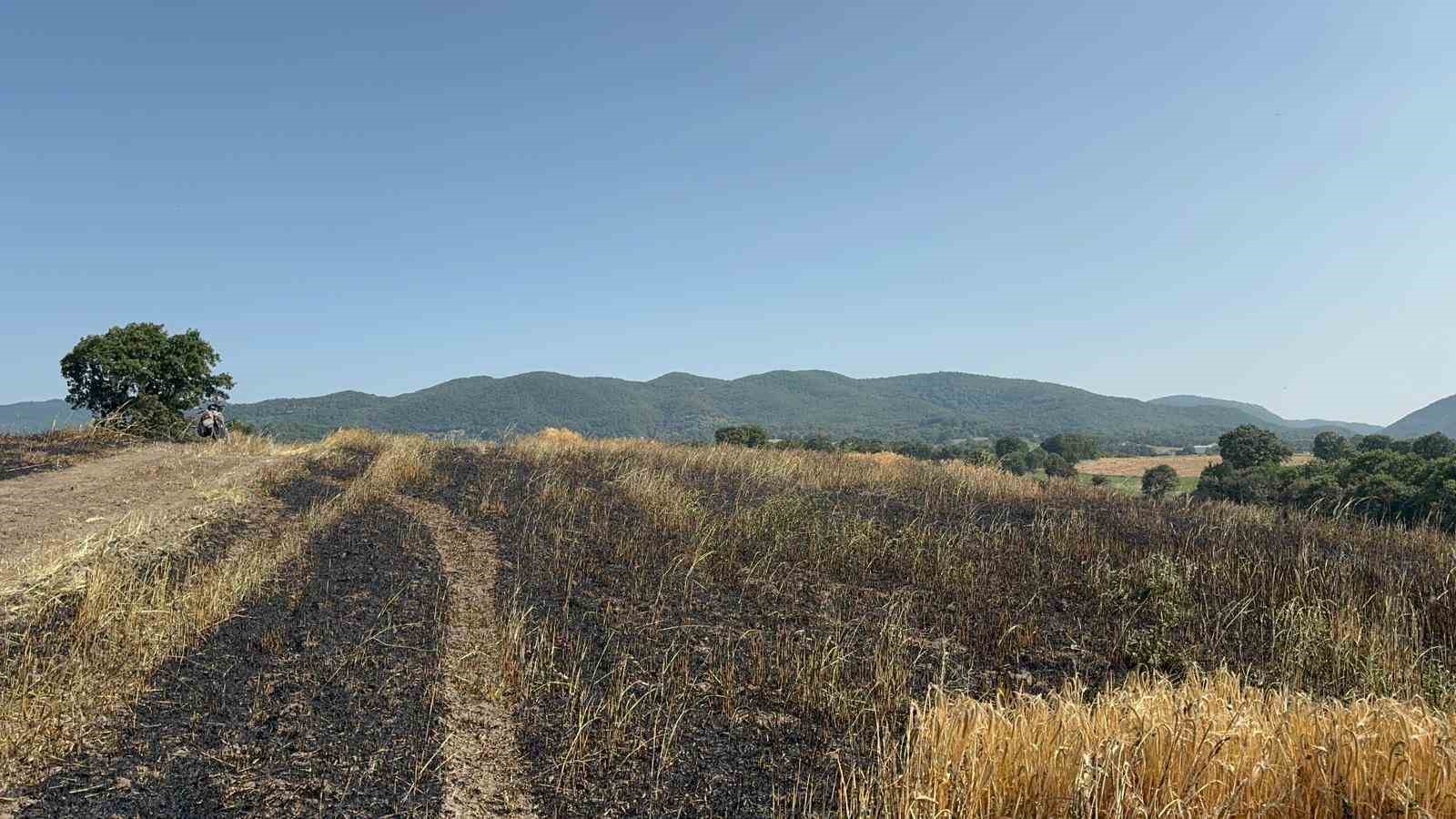 Gönen’de buğday tarlasında çıkan yangında 50 dönüm arazi kül oldu