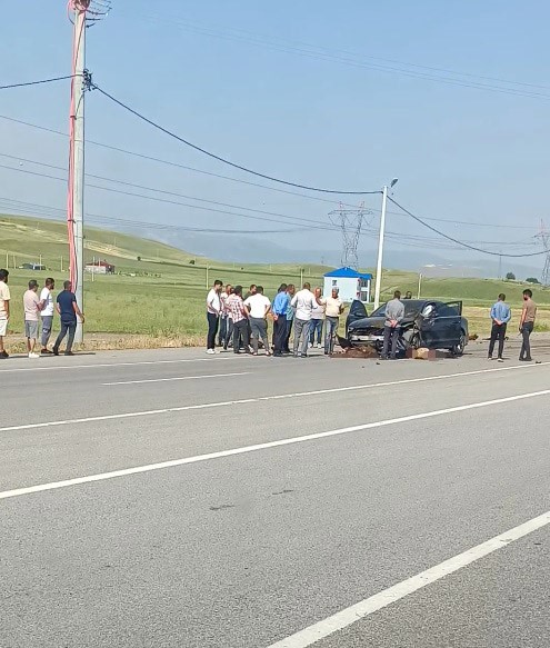 Otomobil sürüye çarptı, onlarca koyun telef oldu