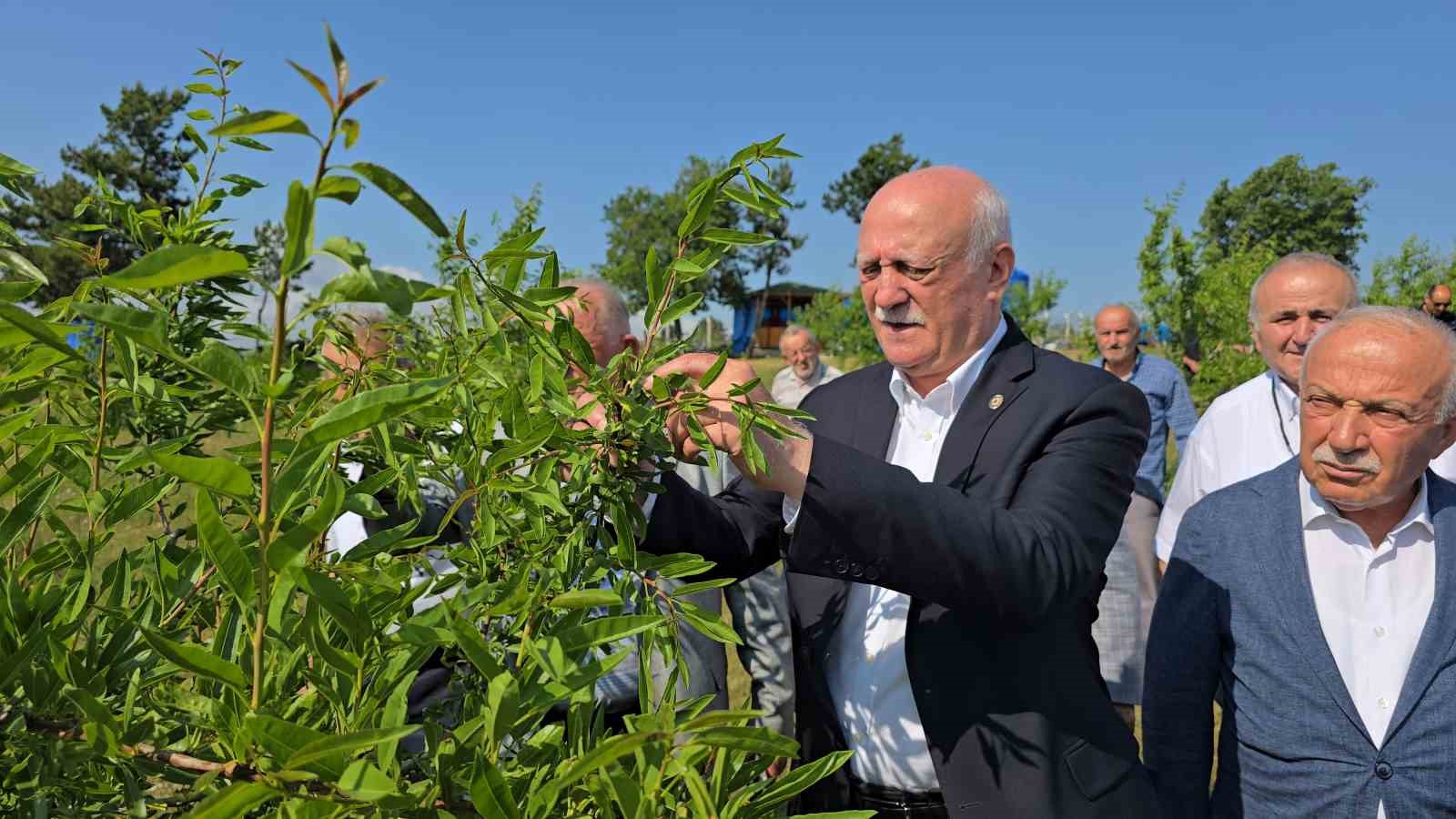 TZOB Genel Başkanı Bayraktar, Karabük’te zirai dondan etkilenen tarlaları inceledi