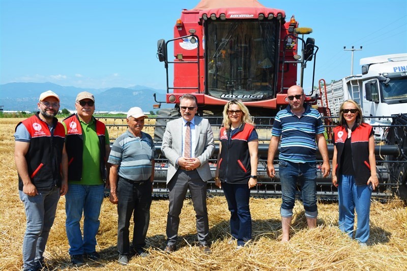 Edremit’te buğday hasadı başladı