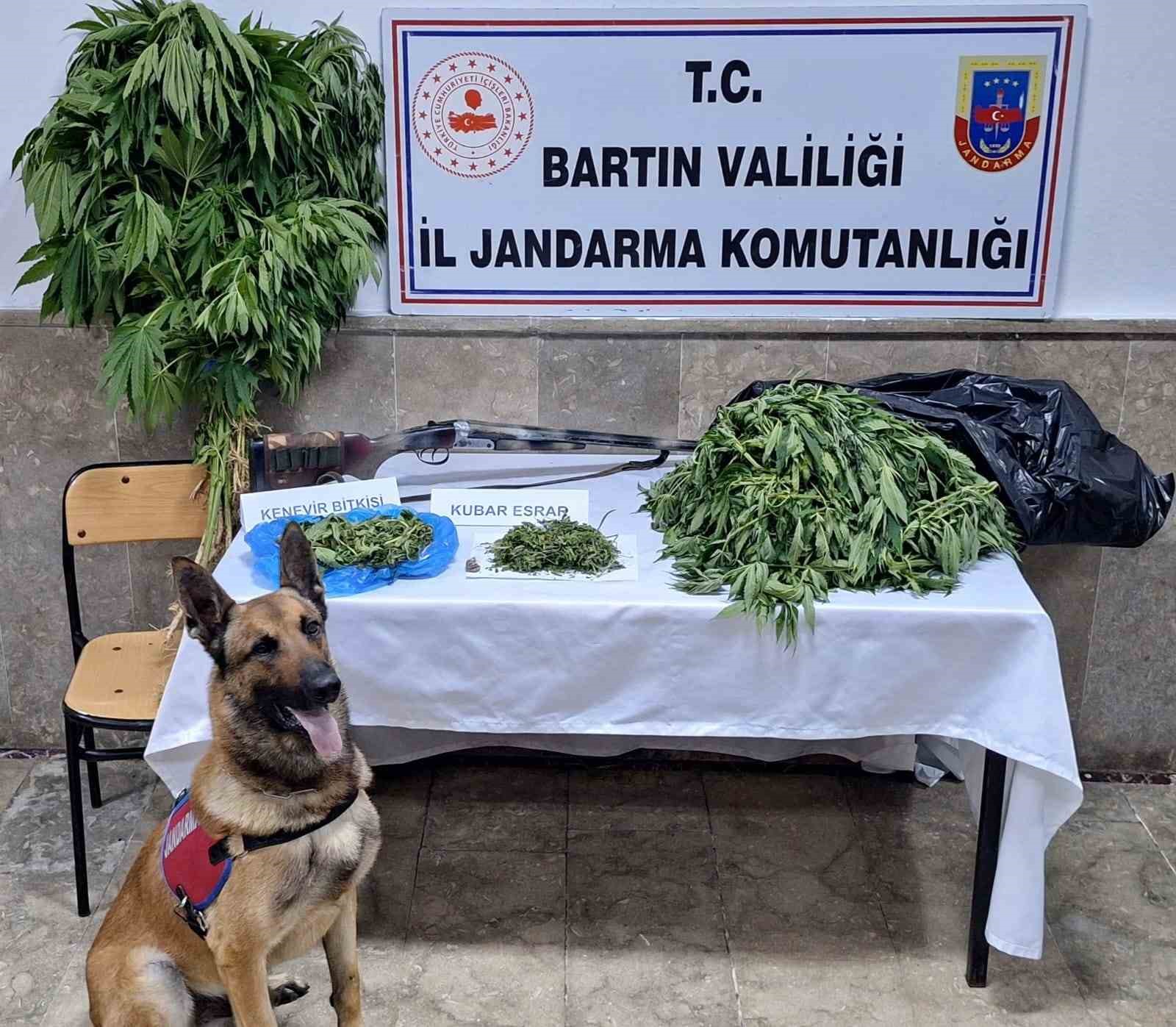 Jandarmadan uyuşturucu operasyonu: 2 g&ouml;zaltı

