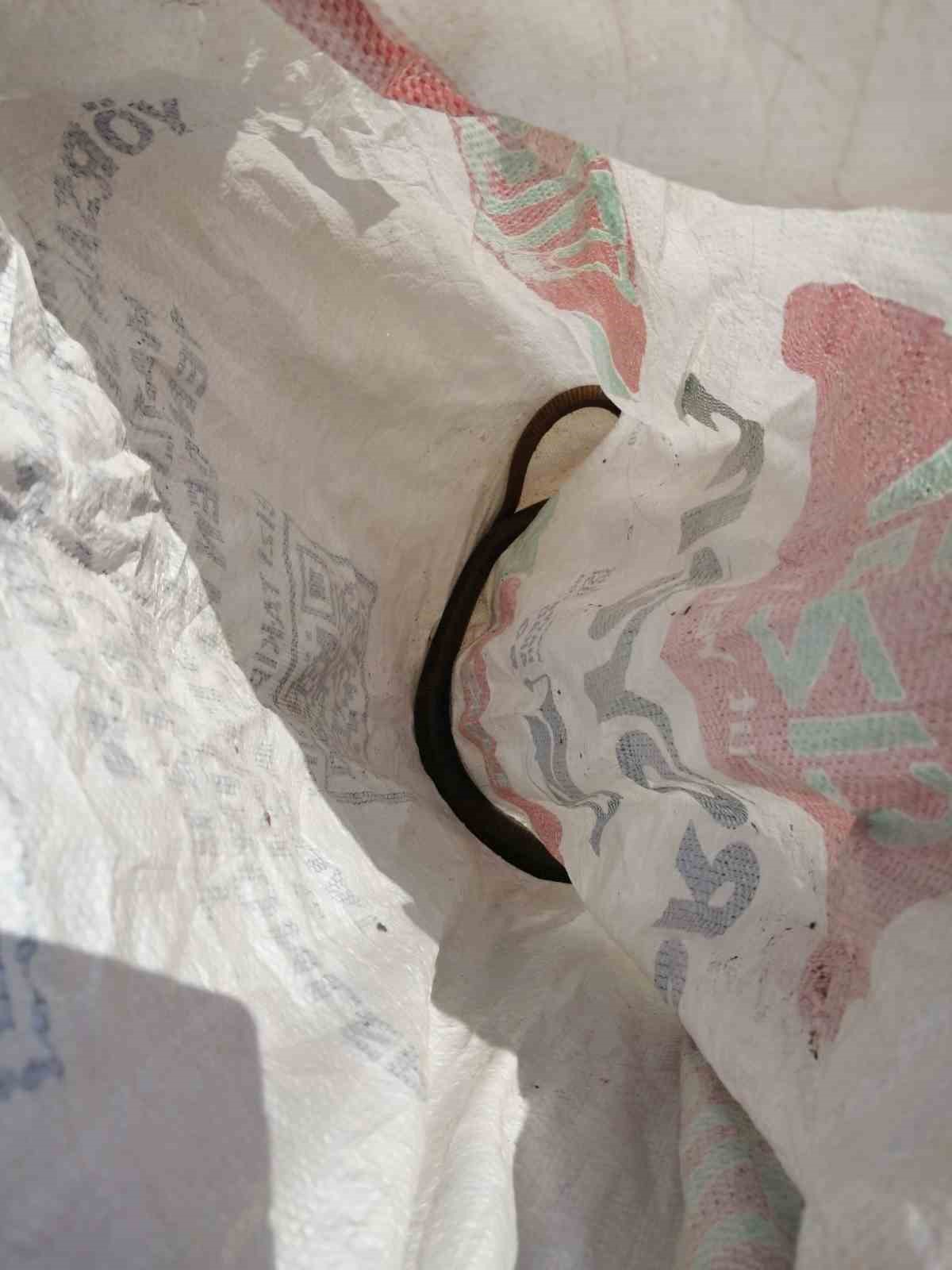 Aydın’da itfaiye ekiplerinden yılan operasyonu