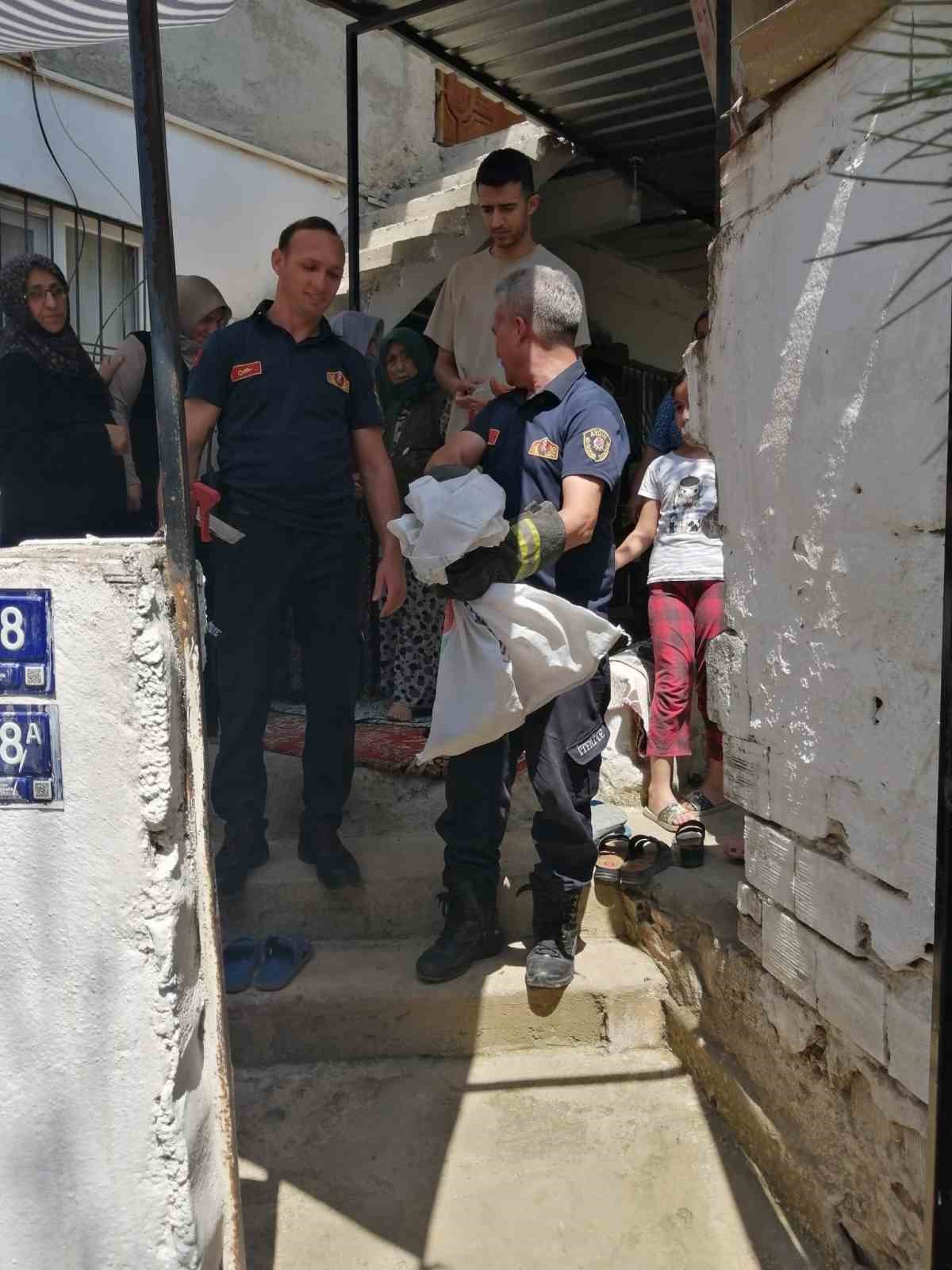 Aydın&rsquo;da itfaiye ekiplerinden yılan operasyonu
