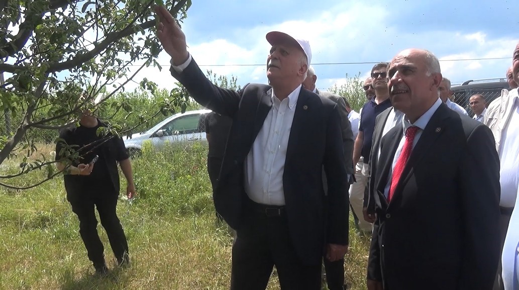 TZOB Başkanı Bayraktar: "Don hadisesi Türkiye’nin yaklaşık 65 ilinde özellikle meyve ürünlerimize büyük zarar verdi"