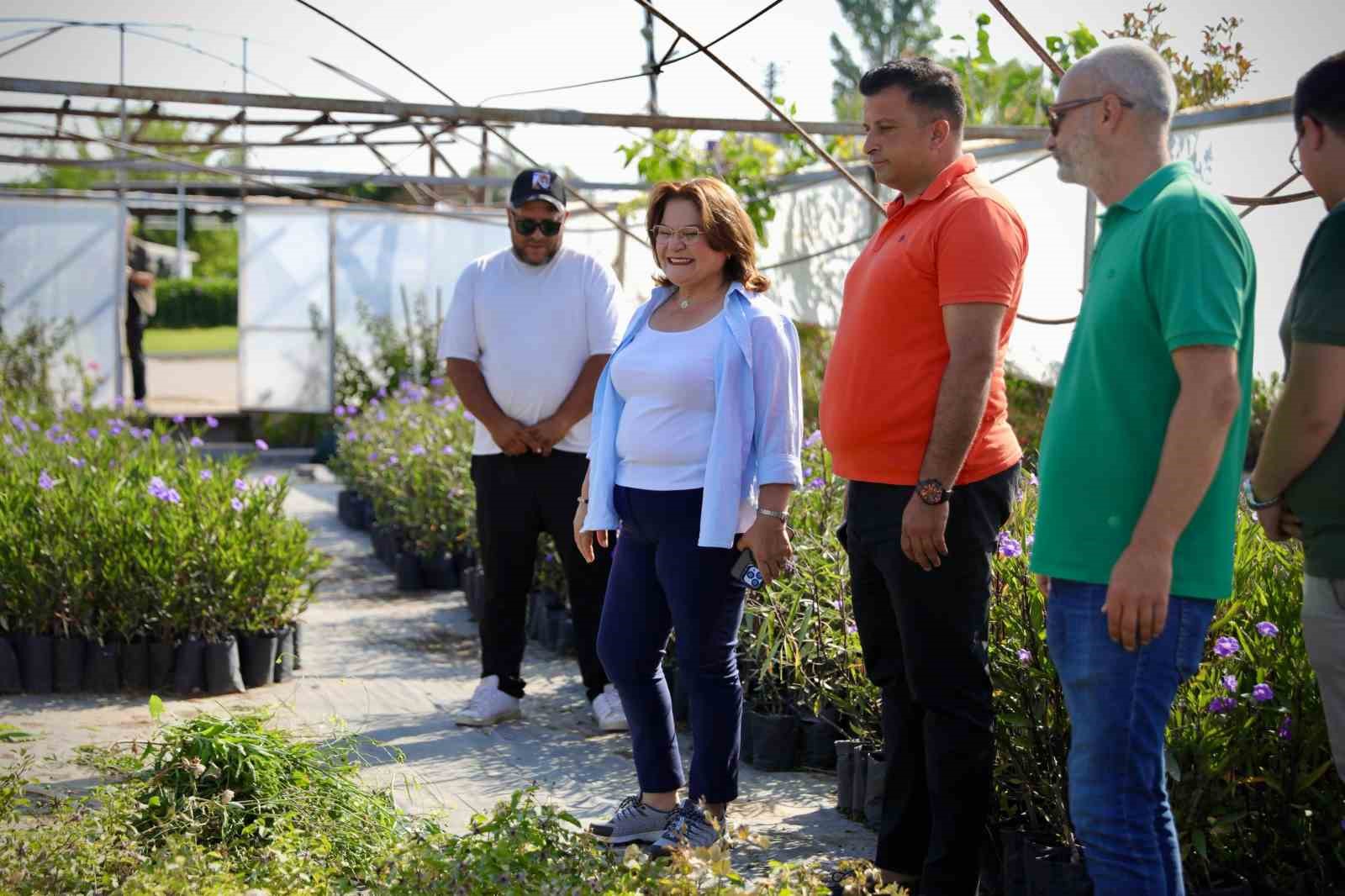 Başkan Gençay, kekik hasadına katıldı
