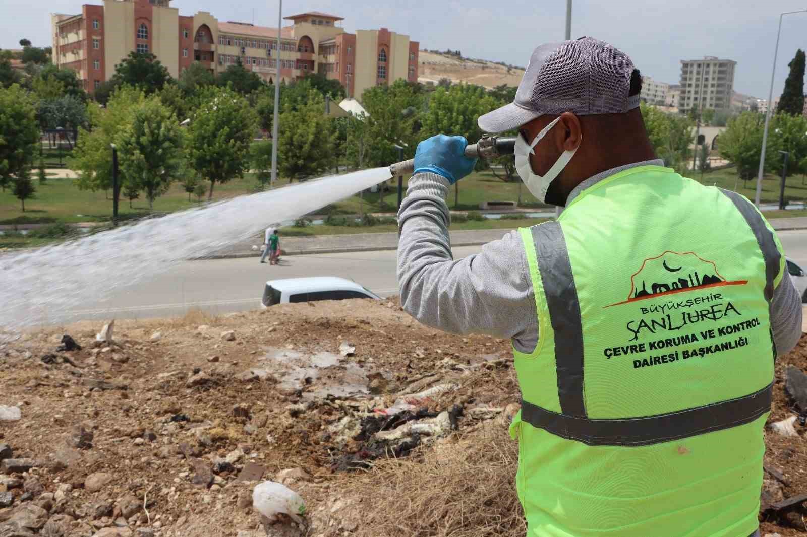 Büyükşehir belediyesinden ilaçlama seferberliği