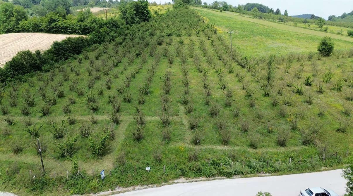 TBMM Zirai Don Olayını Araştırma Komisyonu D&uuml;zce&rsquo;de

