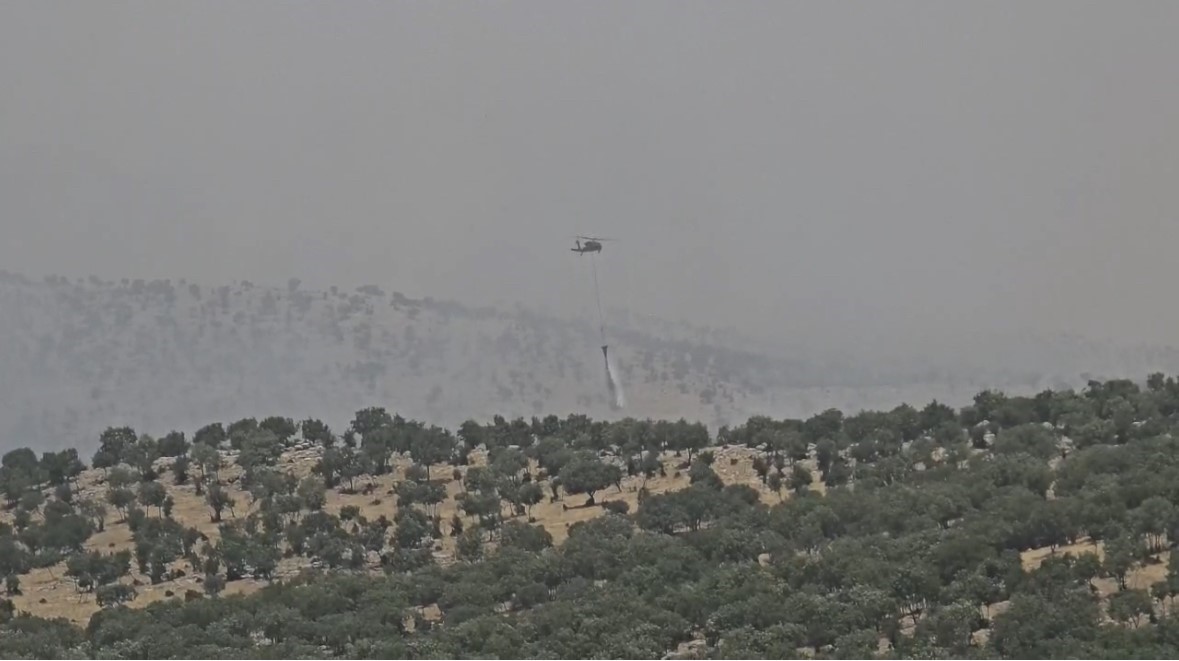 Mardin’de çıkan orman yangını kontrol altına alındı