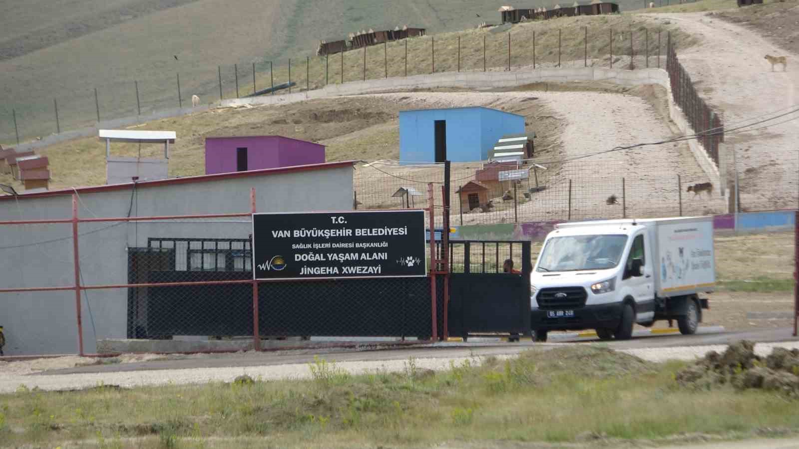 Büyükşehir Belediyesi bünyesinde faaliyet gösteren hayvan barınağında dehşete düşüren görüntüler