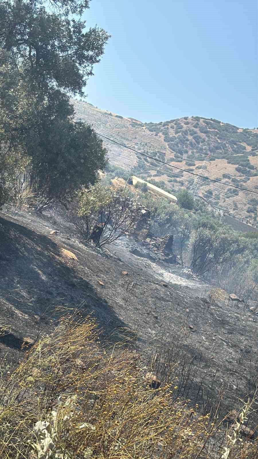 İncirliova&rsquo;da zirai alanda &ccedil;ıkan yangın s&ouml;nd&uuml;r&uuml;ld&uuml;
