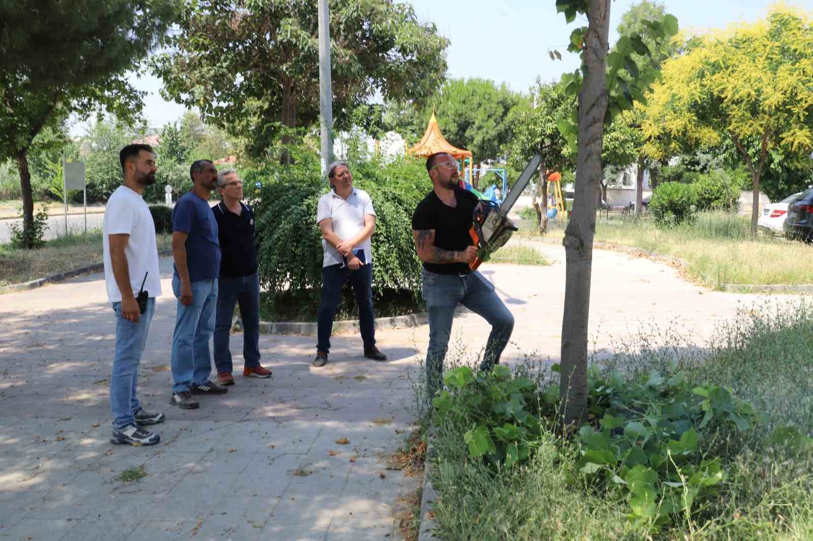 Nazilli Belediyesi&rsquo;nden uygulamalı m&uuml;lakat
