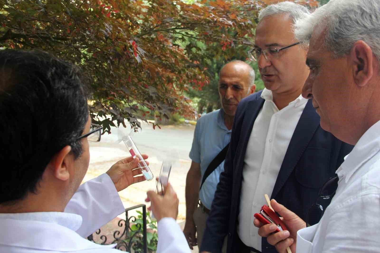 Yalova’da kahverengi kokarcaya karşı samuray arılar doğaya salındı