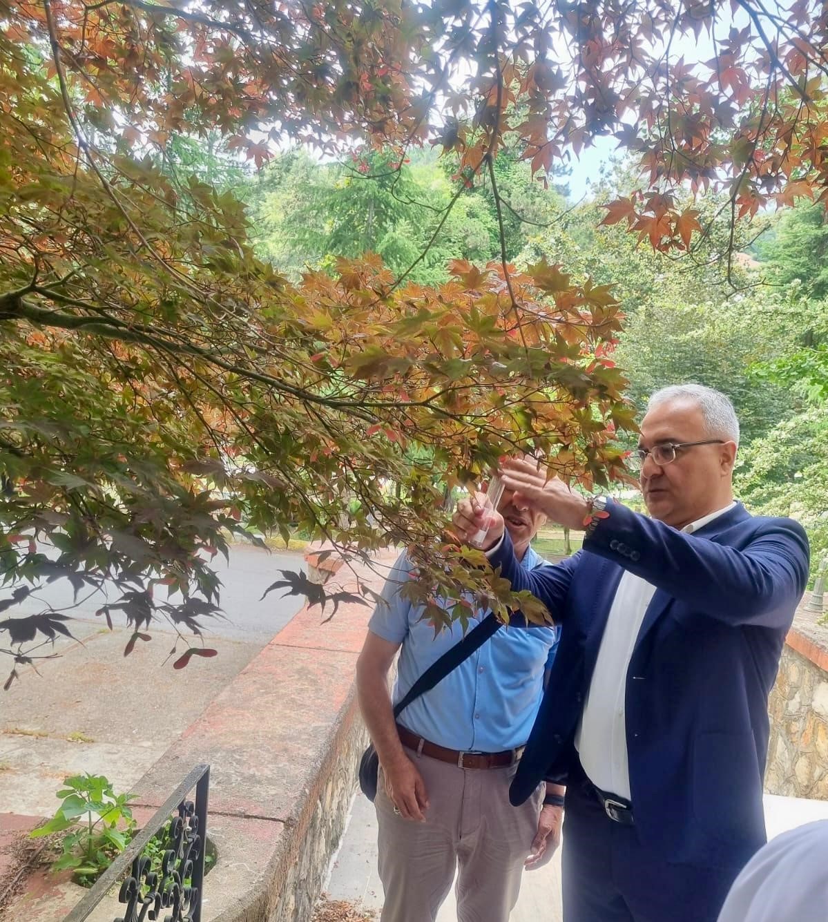 Yalova&rsquo;da kahverengi kokarcaya karşı samuray arılar doğaya salındı
