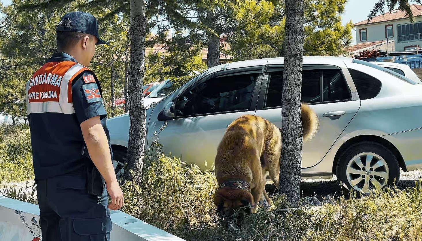 A&ccedil;ık alanda k&ouml;pek d&ouml;v&uuml;şt&uuml;ren şahıslara operasyon: 8 g&ouml;zaltı
