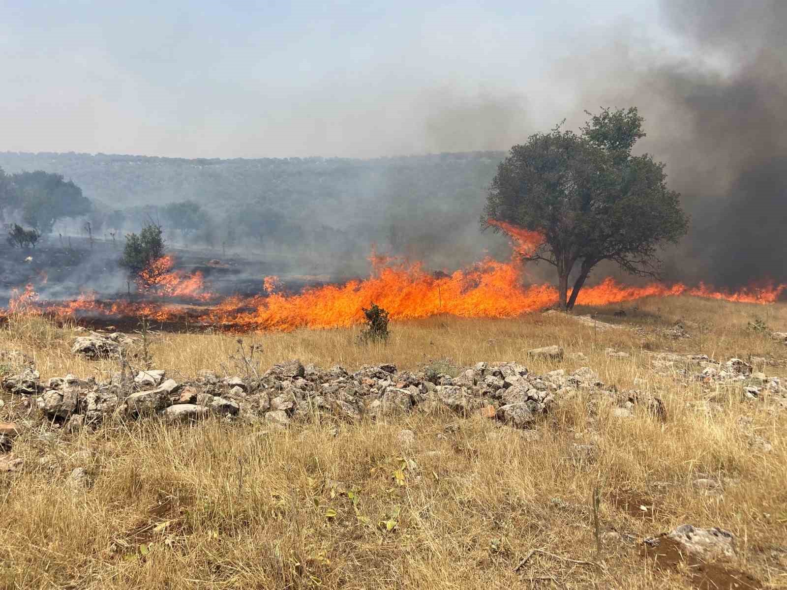Mardin’de alevler yeniden yükseldi