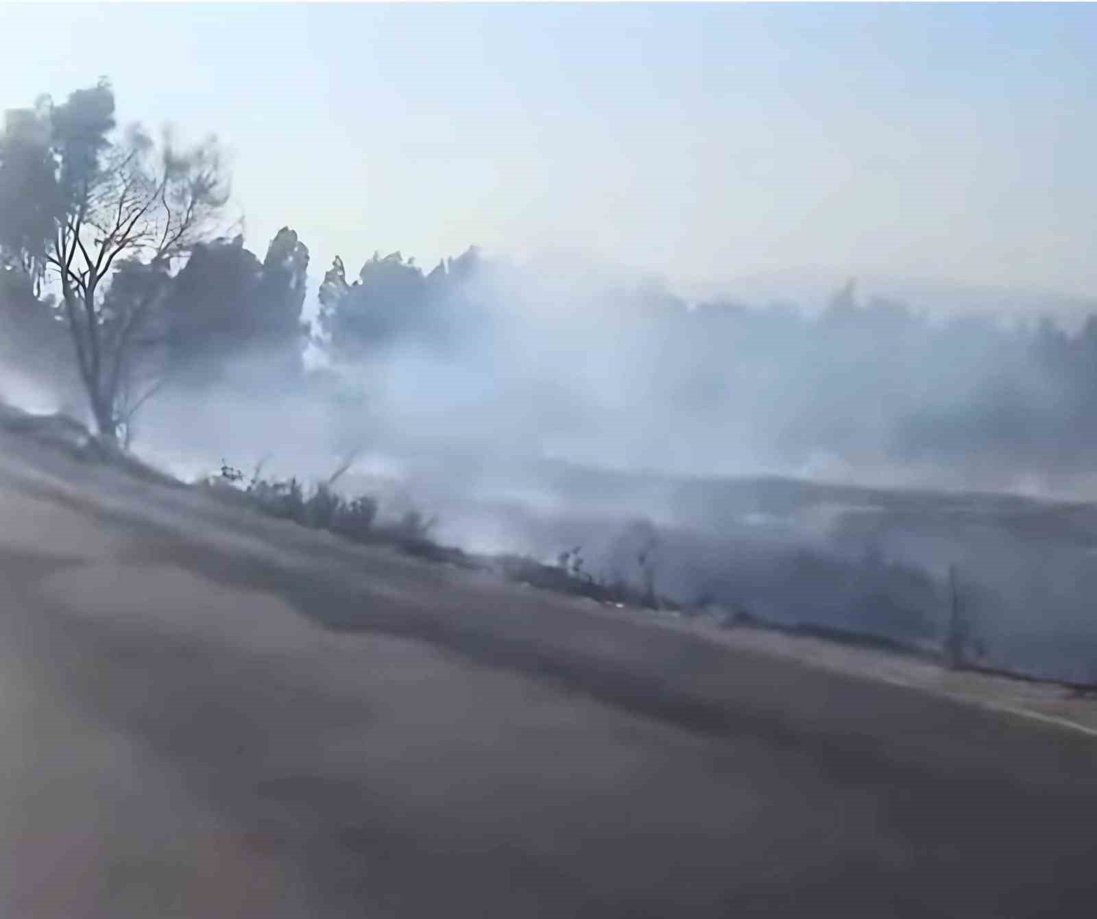 S&ouml;ke&rsquo;deki yangın korkuttu
