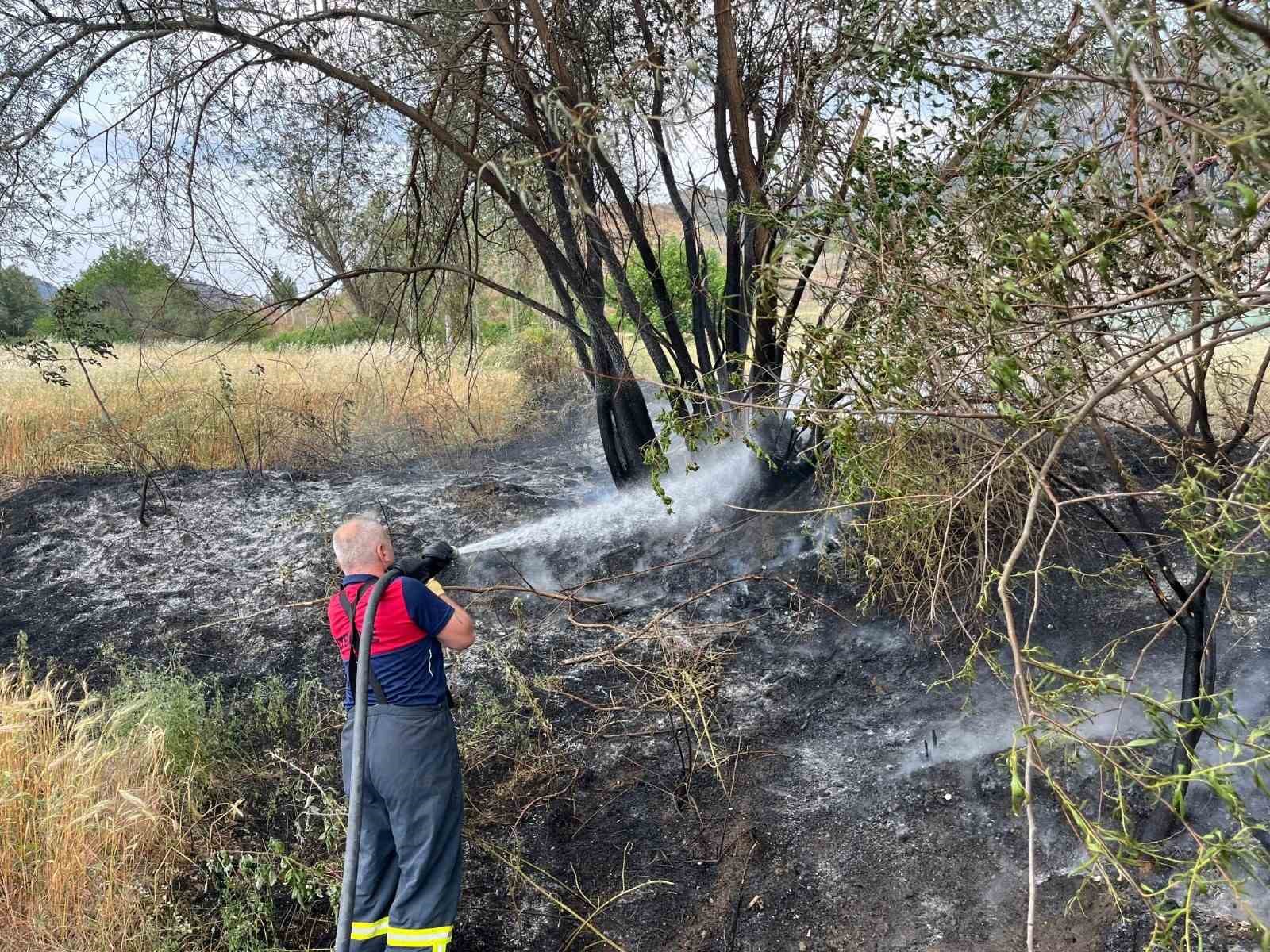 Çorum’da arazi yangını