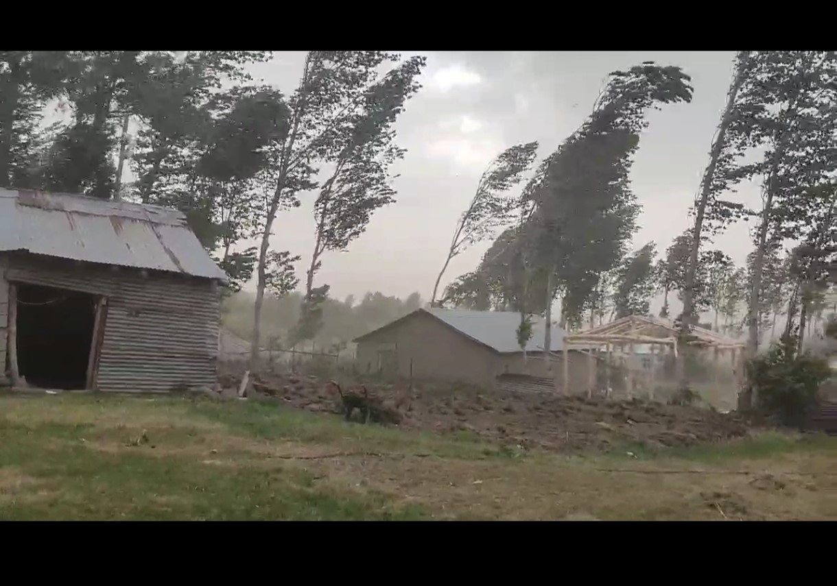 Muş’ta fırtına ağaçları ve elektrik direklerini devirdi