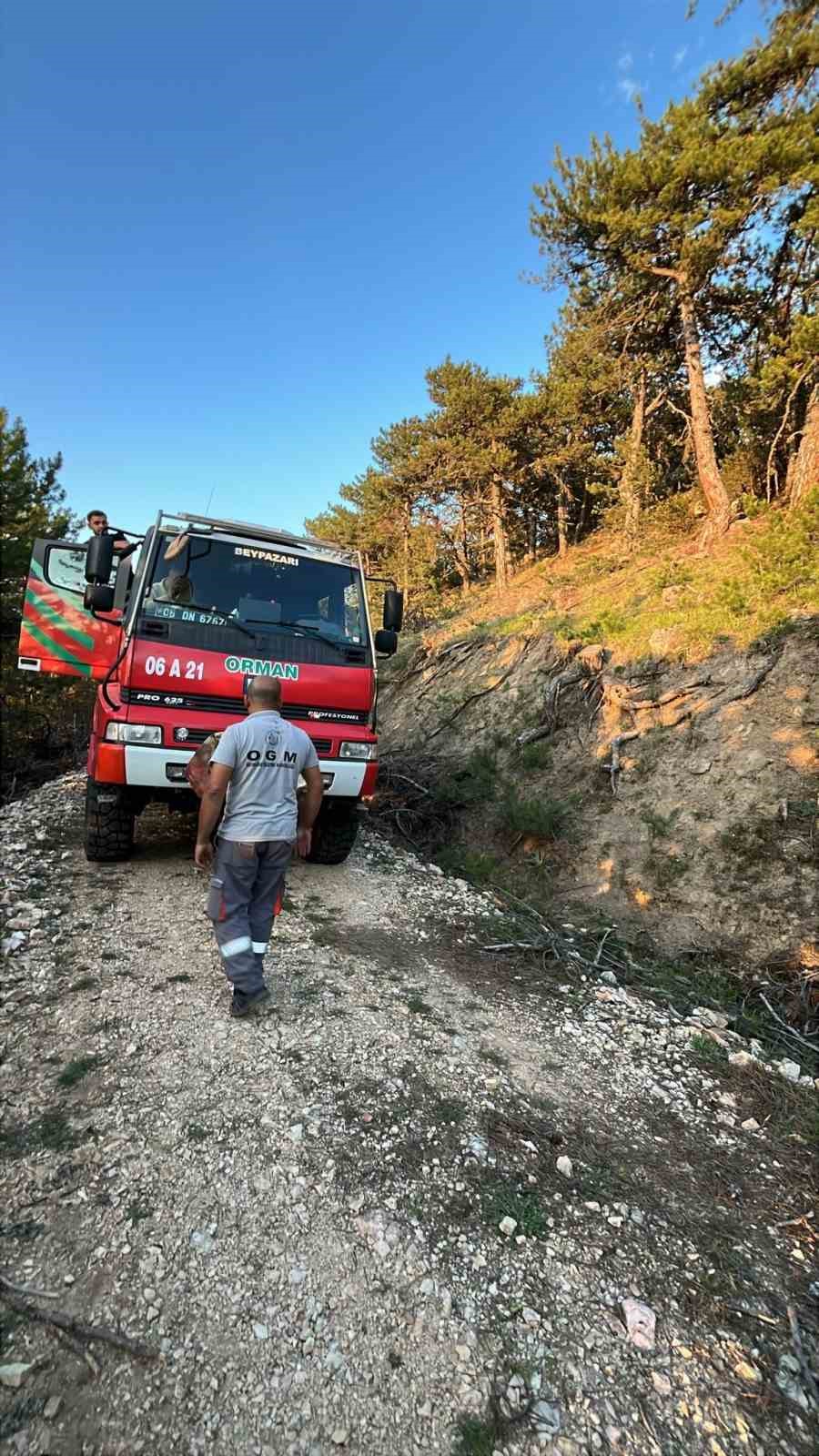 Beypazarı’nda orman yangını