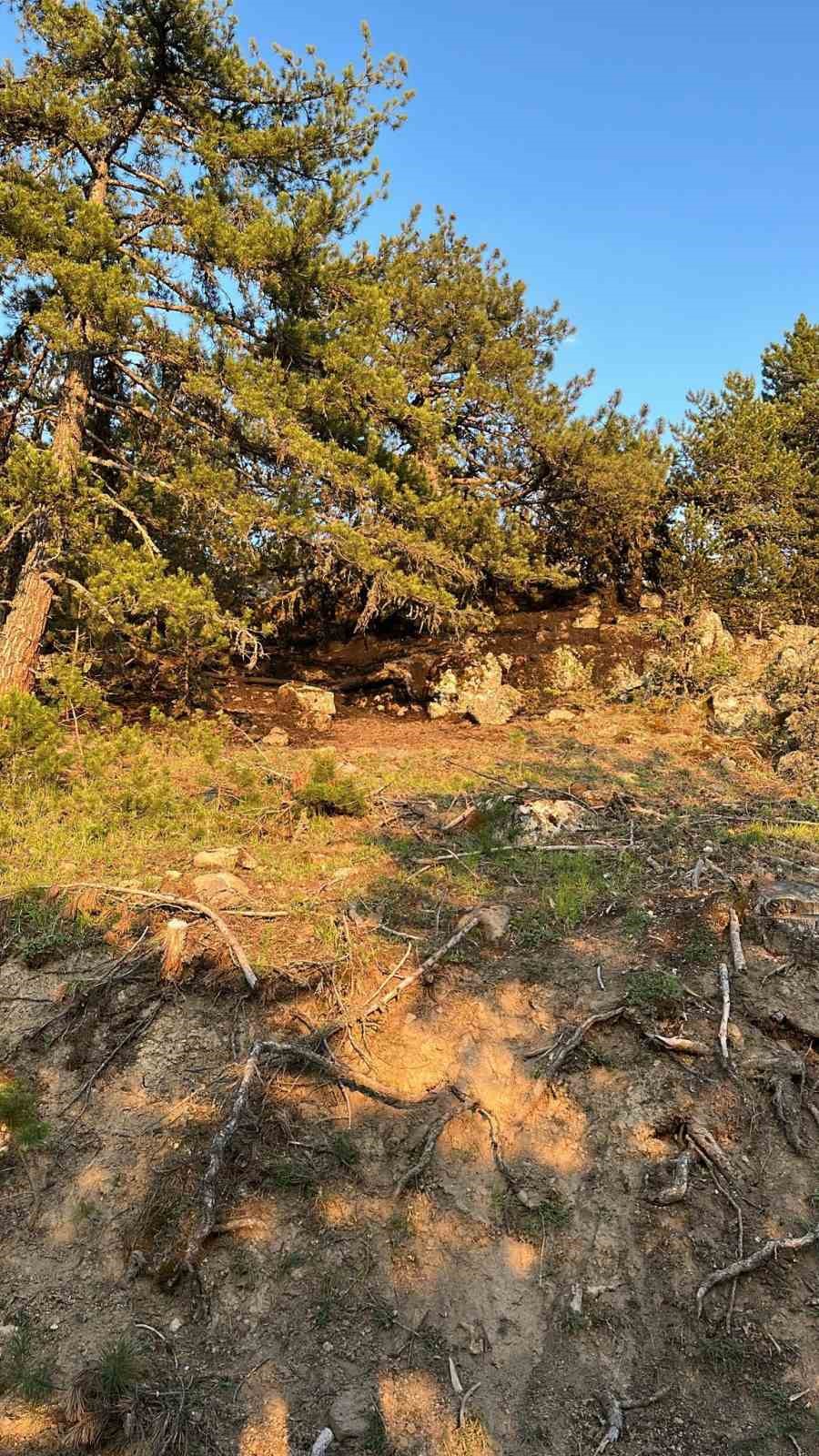 Beypazarı&rsquo;nda orman yangını
