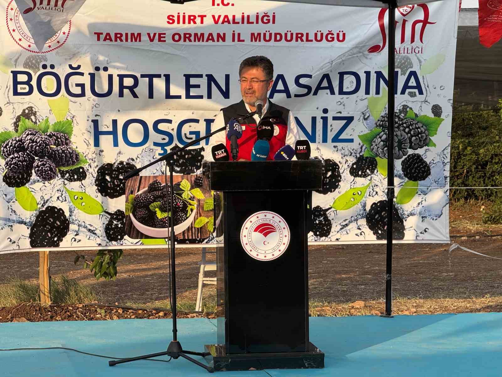 Bakan Yumaklı, Siirt’te böğürtlen hasadına katıldı