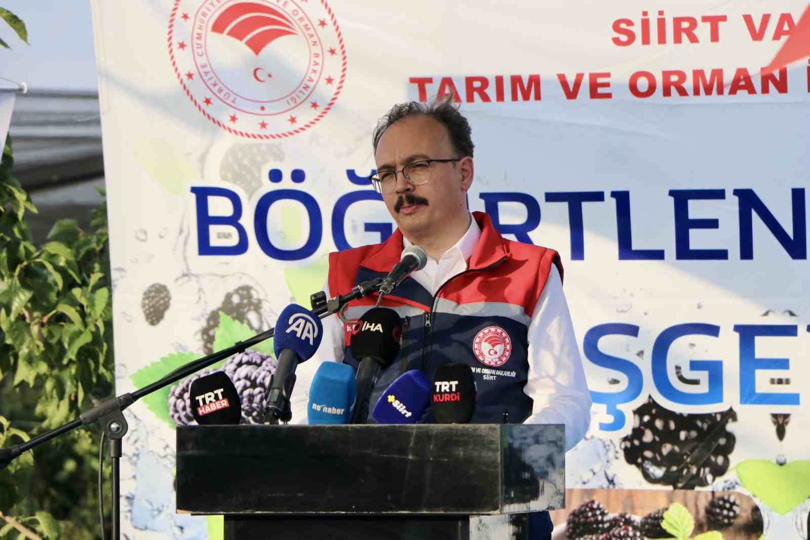 Bakan Yumaklı, Siirt’te böğürtlen hasadına katıldı