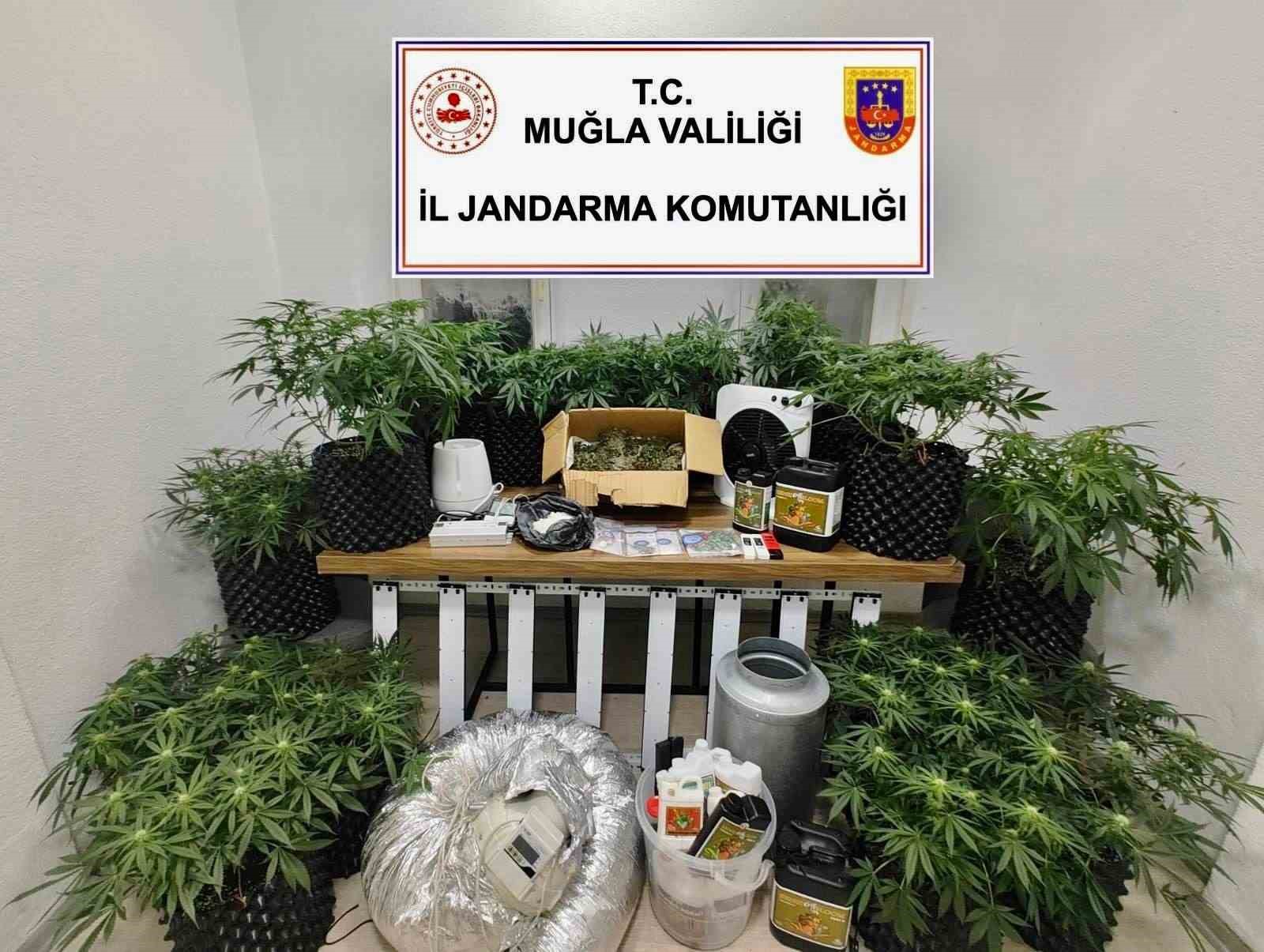 Bodrum’da uyuşturucu baskını: 2 gözaltı