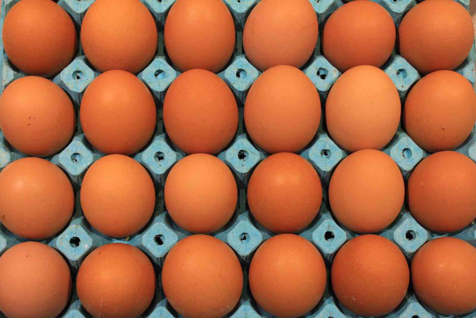 Yumurta üretimi 6 ayda 330 milyon adet azaldı
