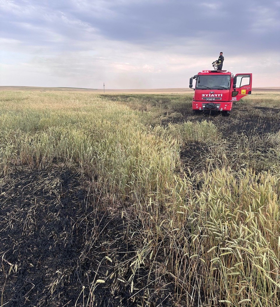 Kulu’da arpa ekili tarlada yangın