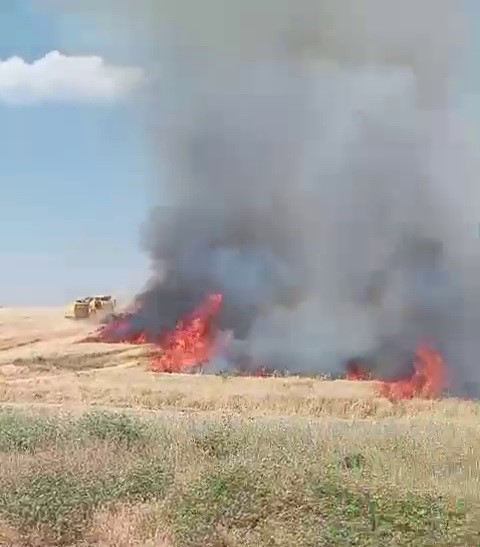 Ekili alanlar cayır cayır yandı
