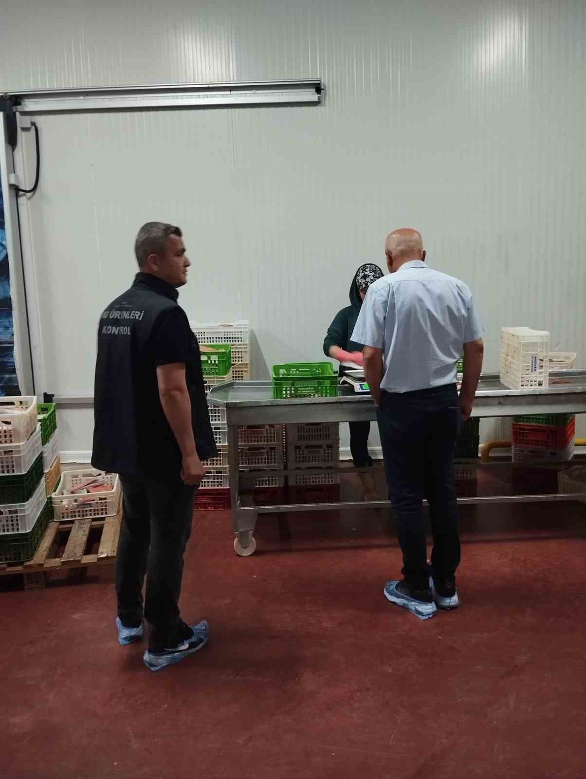 Beyşehir Gölünde denetimler av yasağının son günlerinde de sürdü
