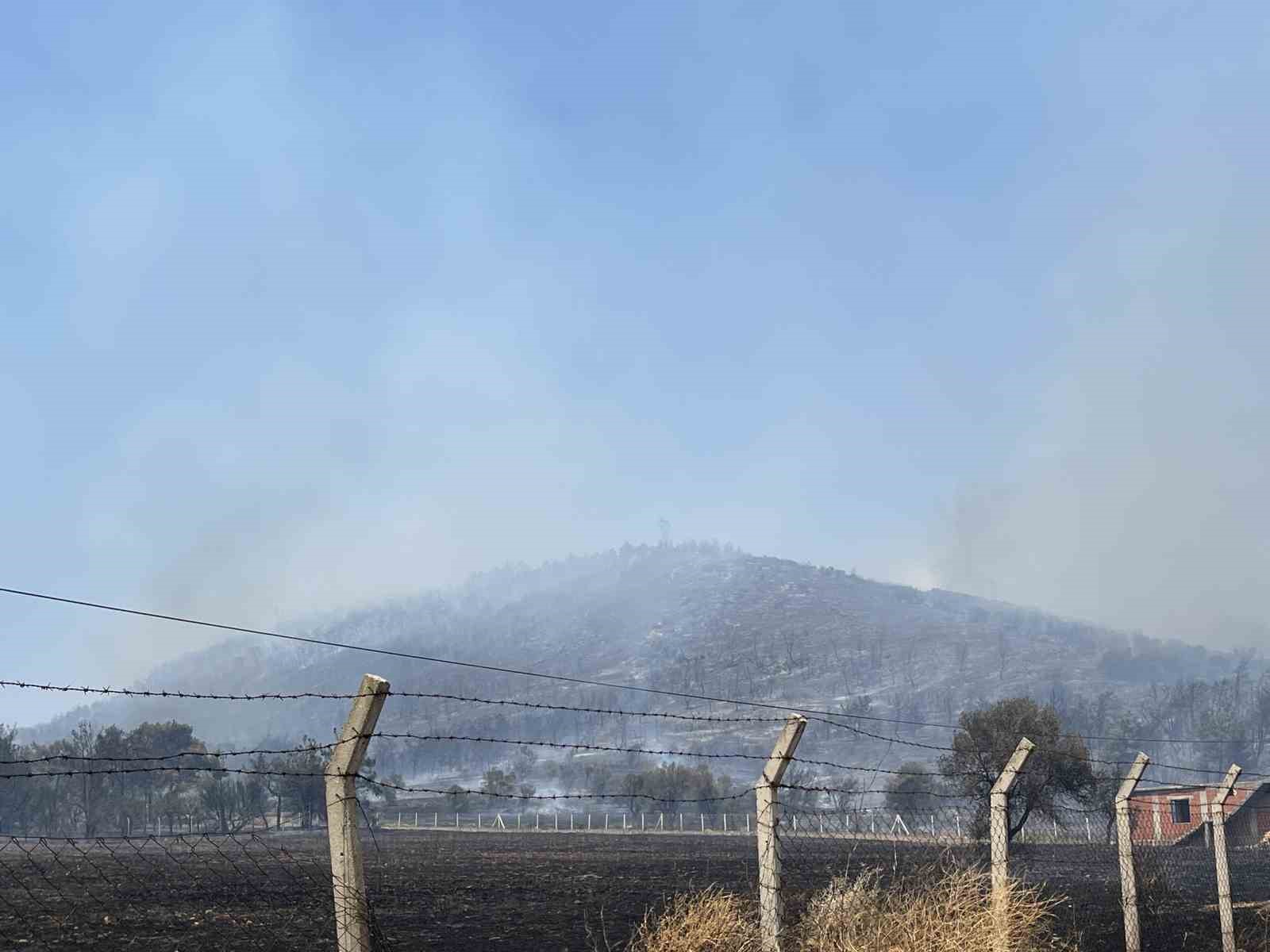 Foça yangınında alevler evlerin bahçelerine kadar yaklaştı
