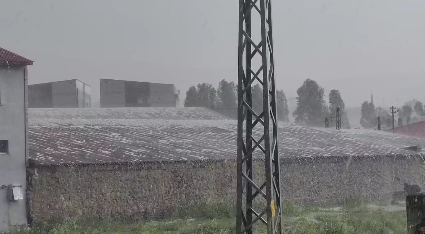 Sarıkamış’ta dolu yağışı hayatı olumsuz etkiledi
