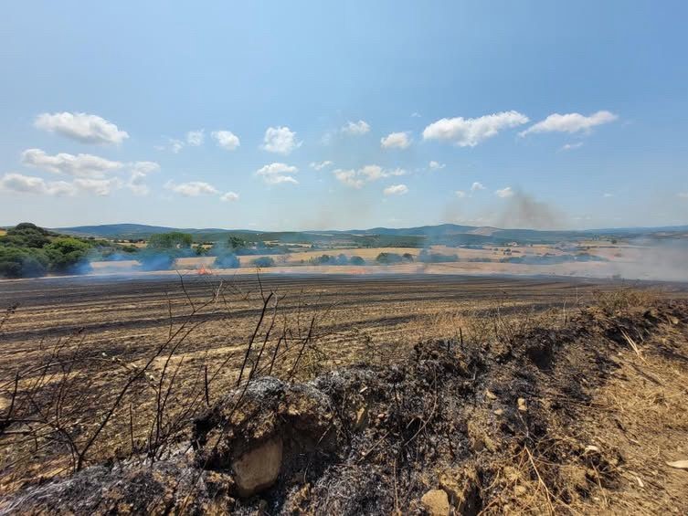 Çanakkale’de tarım arazisinde yangın