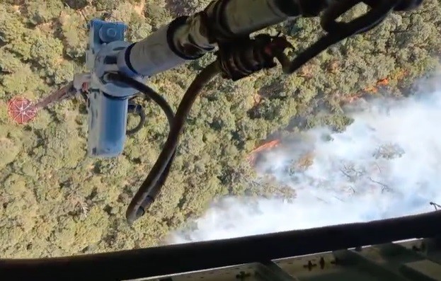 İzmir Foça’da orman yangını: Havadan ve karadan müdahale başladı