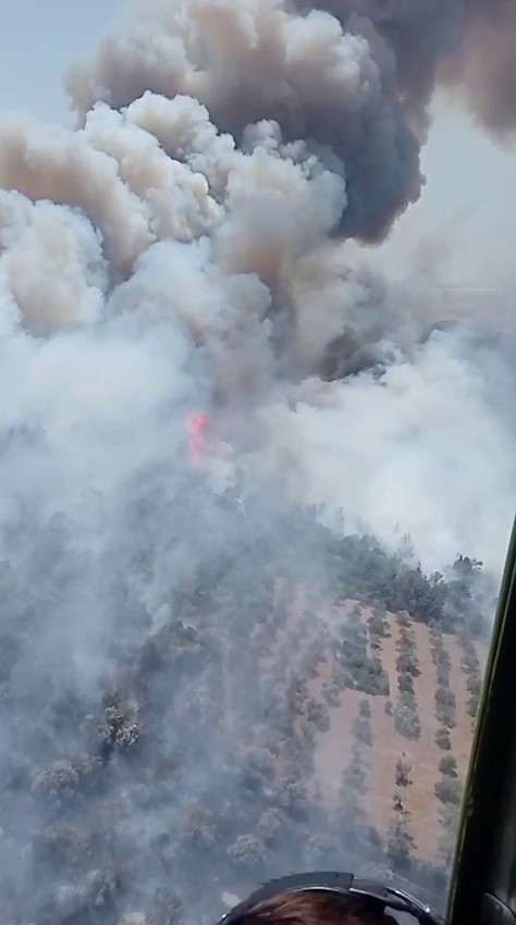 İzmir Fo&ccedil;a&rsquo;da orman yangını: Havadan ve karadan m&uuml;dahale başladı
